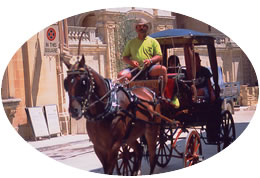 Malta carriage