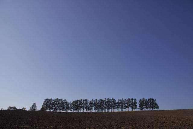 秋の風景2013 北海道・大阪・奈良・京都・兵庫・九州