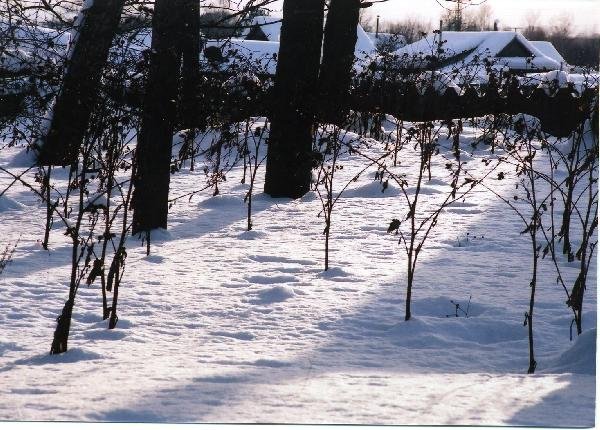 ロシア　サハリン島（樺太）　雪国