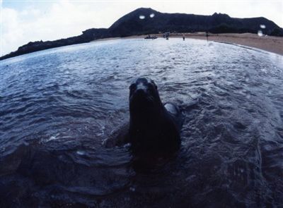 Galapagos Islands