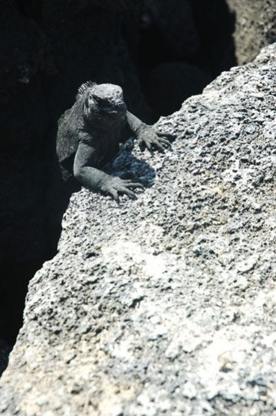 Galapagos Islands