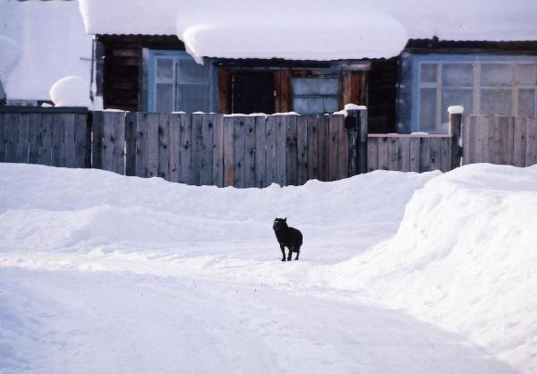 ロシア　サハリン島（樺太）　雪国