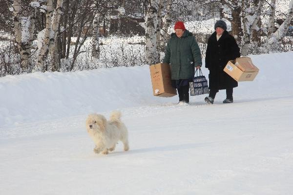 ロシア　サハリン島（樺太）　雪国