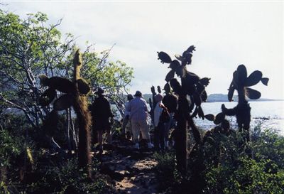 Galapagos Islands