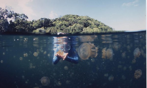 Republic of Palau