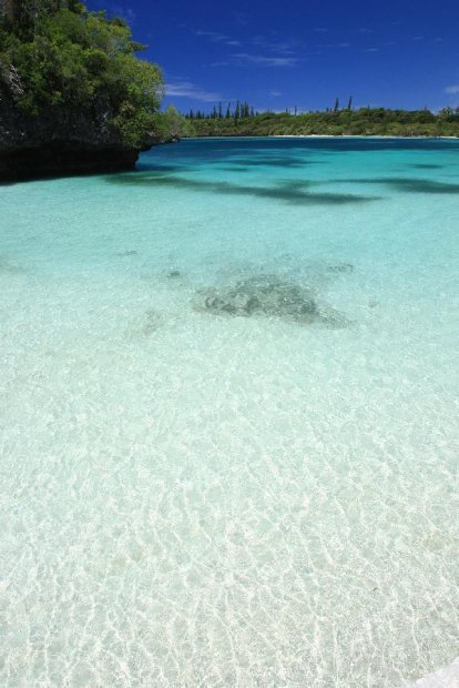 ニューカレドニア　イル･デ･パン島