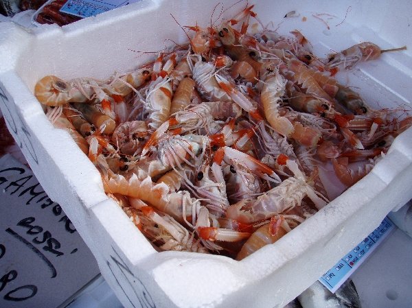 イタリア　サンピエトロ島　朝市