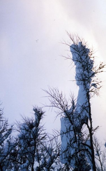 ロシア　サハリン島（樺太）　雪国