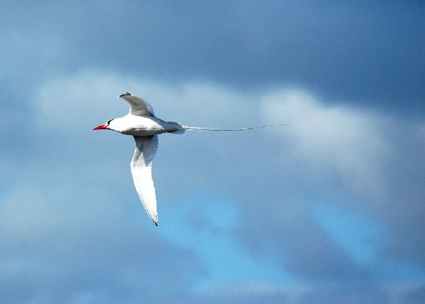 ガラパゴス諸島=Ⅱ