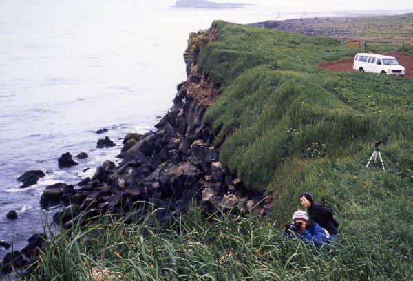 セントポール島