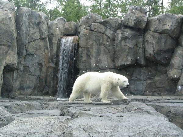 コディアック島