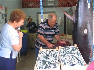 イタリア共和国　ファヴィニャーナ島