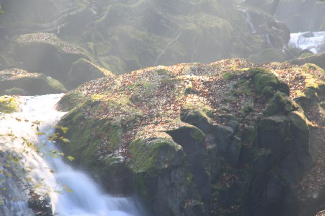 秋の風景2013 北海道・大阪・奈良・京都・兵庫・九州