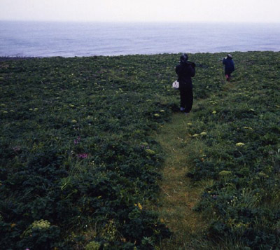 セントポール島