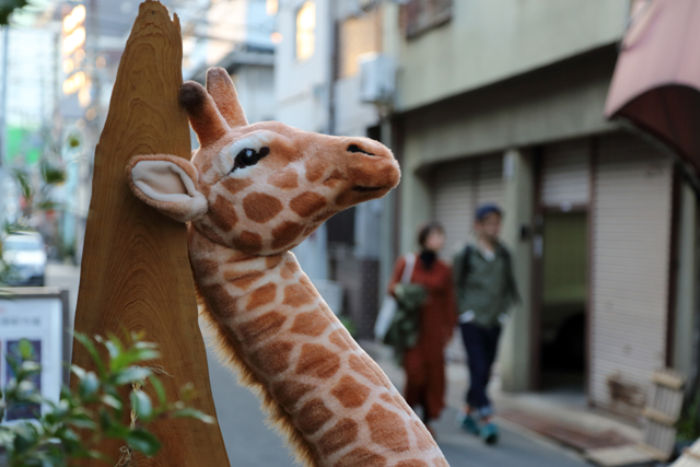 ラ・フォトス大阪　大阪市北区　中崎町