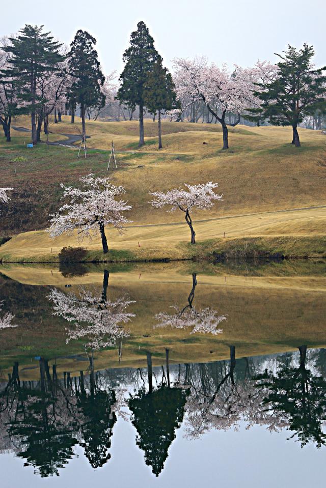 新潟県　妙高サンシャインゴルフクラブ 