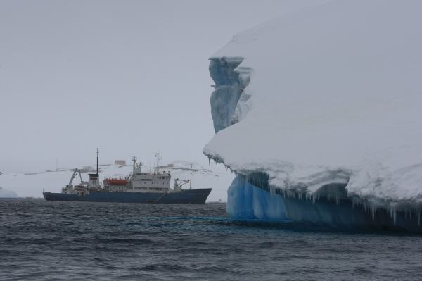 南極の島々