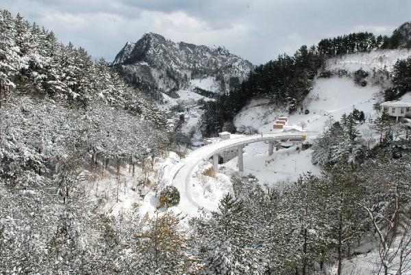 韓国　鬱陵島