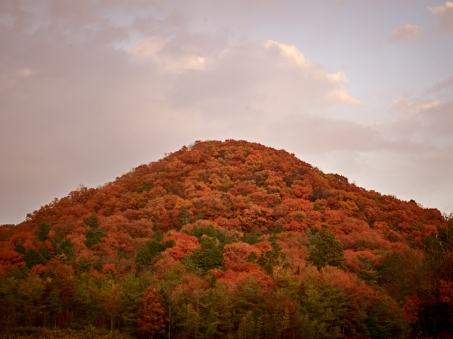 秋の風景2013 北海道・大阪・奈良・京都・兵庫・九州