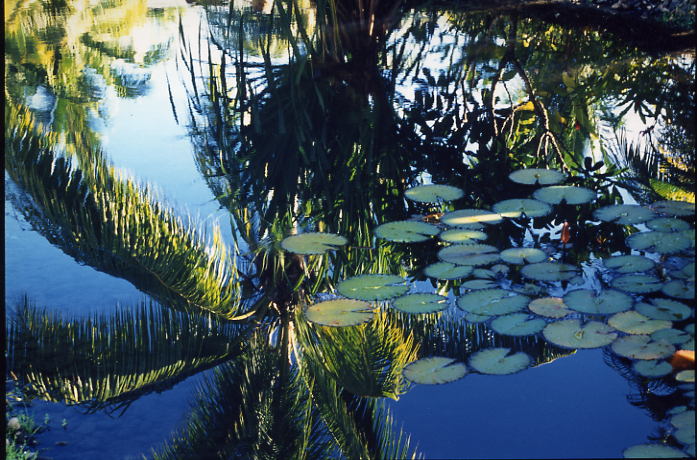 Republic of Fiji, Viti Levu