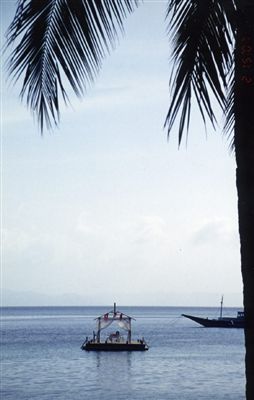 パラワン諸島・アプリット島