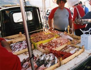 イタリア共和国　ファヴィニャーナ島