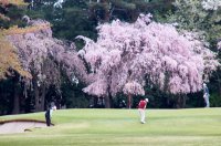 日本のゴルフ場