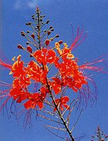 日本の島再発見