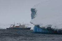南極の島々